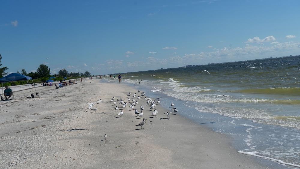 Gulf Breeze Cottages Sanibel Extérieur photo